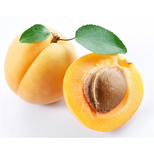 Apricot