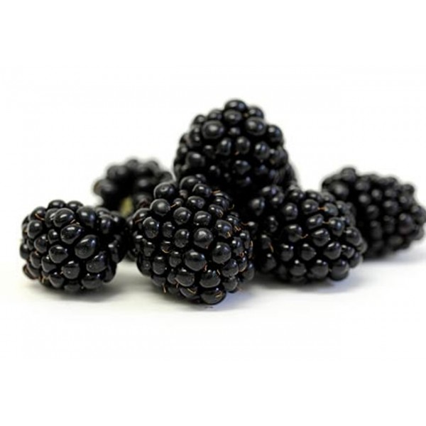 Blackberry